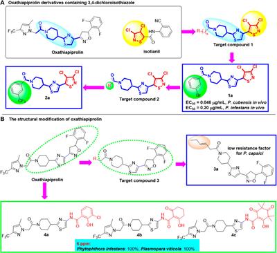 Advances in the green synthesis and agrichemical applications of oxathiapiprolin derivatives